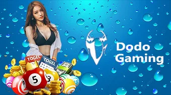 Togel Dodo Gaming